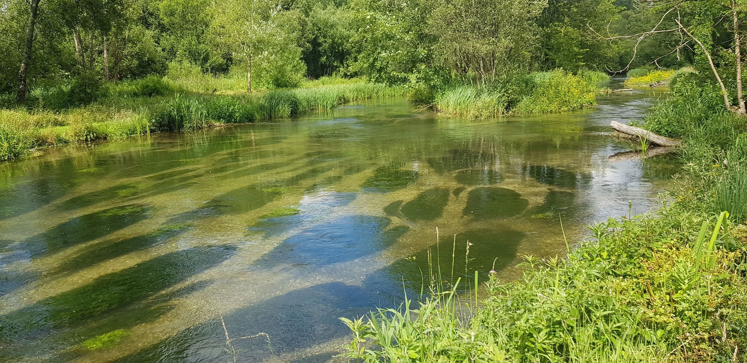 Image of land